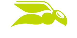 Hornet Security